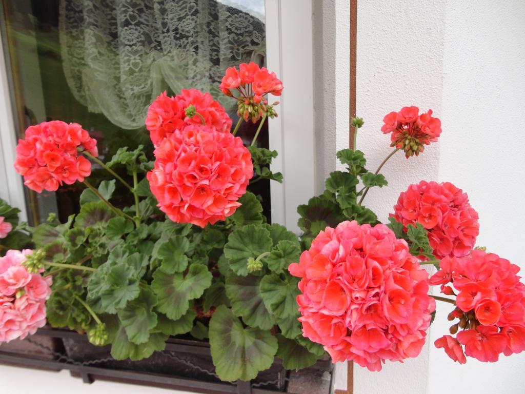 Bed and Breakfast Garni Crepaz Selva di Val Gardena Exterior foto