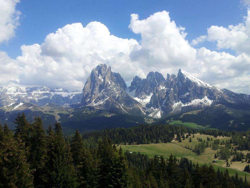 Garni Crepaz Bed and Breakfast Selva di Val Gardena Exterior foto